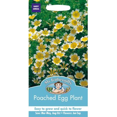 Mr Fothergill's Mr Fothergills - Pictorial Packet - Flower - Poached Egg Plant - 100 Seeds Mr Fothergill's Mr Fothergills - Pictorial Packet - Flower - Poached Egg Plant - 100 Seeds