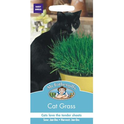 Mr Fothergill's - Pictorial Packet - Cat Grass Mr Fothergill's - Pictorial Packet - Cat Grass