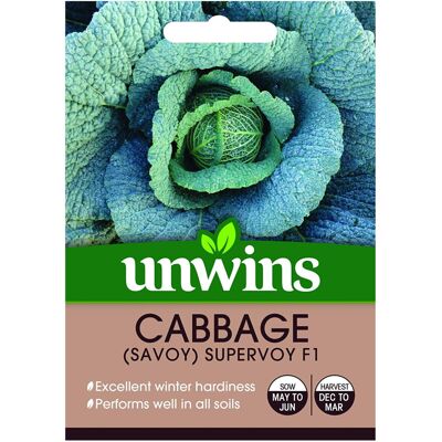Unwins Grow Your Own Cabbage Savoy Supervoy F1 Vegetable Seeds Unwins Grow Your Own Cabbage Savoy Supervoy F1 Vegetable Seeds