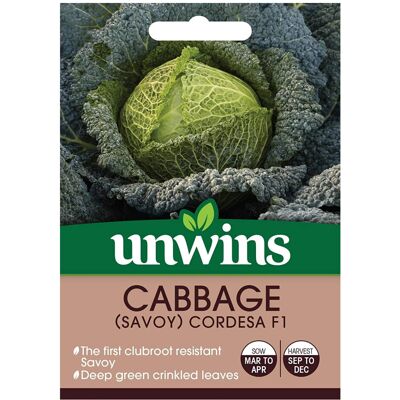 Unwins Grow Your Own Cabbage Savoy Cordesa F1 Vegetable Seeds Unwins Grow Your Own Cabbage Savoy Cordesa F1 Vegetable Seeds