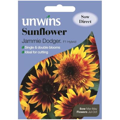 Unwins Grow Your Own Jammie Dodger F1 Sunflower Flower Seeds Unwins Grow Your Own Jammie Dodger F1 Sunflower Flower Seeds