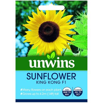Unwins Grow Your Own 14ft King Kong F1 Sunflower Flower Seeds Unwins Grow Your Own 14ft King Kong F1 Sunflower Flower Seeds