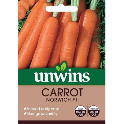 Unwins Grow Your Own At Home Vegetable Seeds - Carrot Norwich F1 Unwins Grow Your Own At Home Vegetable Seeds - Carrot Norwich F1