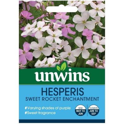 Unwins Grow Your Own Hesperis Sweet Rocket Enchantment Flower Seeds Unwins Grow Your Own Hesperis Sweet Rocket Enchantment Flower Seeds