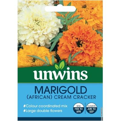 Unwins Grow Your Own Marigold African Cream Cracker Flower Seeds Unwins Grow Your Own Marigold African Cream Cracker Flower Seeds
