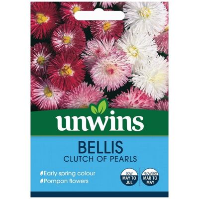 Unwins Grow Your Own Bellis Clutch Of Pearls Early Spring Flower Seeds Unwins Grow Your Own Bellis Clutch Of Pearls Early Spring Flower Seeds