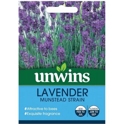 Unwins Grow Your Own Flowering Flower Seeds Lavender Munstead Strain Unwins Grow Your Own Flowering Flower Seeds Lavender Munstead Strain