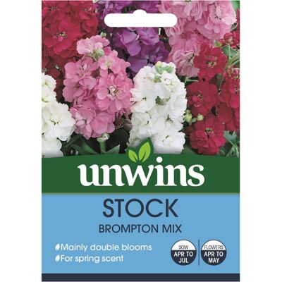 Unwins Grow Your Own Stock Brompton Mix Flower Seeds Unwins Grow Your Own Stock Brompton Mix Flower Seeds