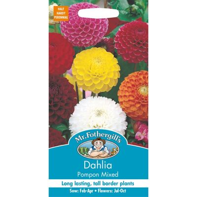 Mr Fothergill's Mr Fothergills - Pictorial Packet - Flower - Dahlia Pompon Mixed - 50 Seeds Mr Fothergill's Mr Fothergills - Pictorial Packet - Flower - Dahlia Pompon Mixed - 50 Seeds