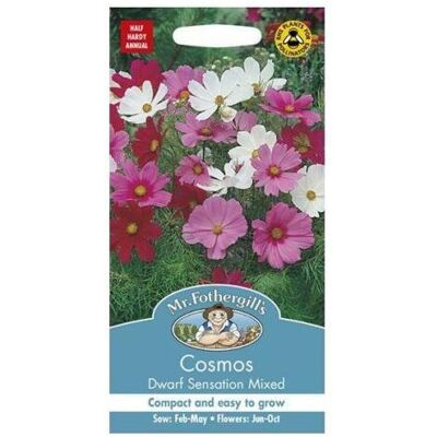 Mr Fothergill's Mr Fothergills Pictorial Packet Flower Cosmos Dwarf Sensation Mixed Seeds Mr Fothergill's Mr Fothergills Pictorial Packet Flower Cosmos Dwarf Sensation Mixed Seeds