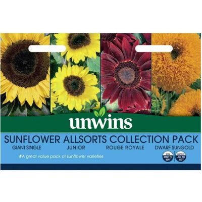 Unwins - Sunflower Allsorts Collection - 4in1 - Edible - Seeds Unwins - Sunflower Allsorts Collection - 4in1 - Edible - Seeds