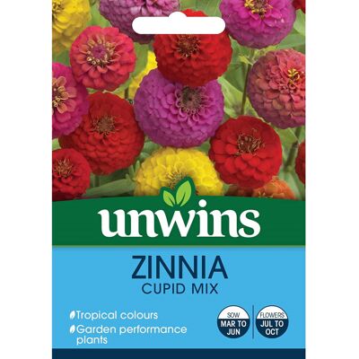 Unwins Grow Your Own Colourful Blooms Garden Flowers Zinnia Cupid Mix Seeds Unwins Grow Your Own Colourful Blooms Garden Flowers Zinnia Cupid Mix Seeds