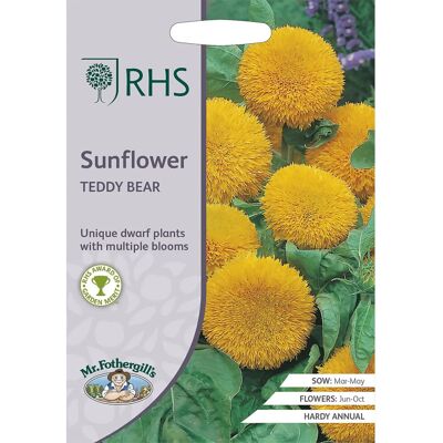 Mr Fothergill's Grow Your Own Edible Flowers Sunflower Teddy Bear Seed Mr Fothergill's Grow Your Own Edible Flowers Sunflower Teddy Bear Seed