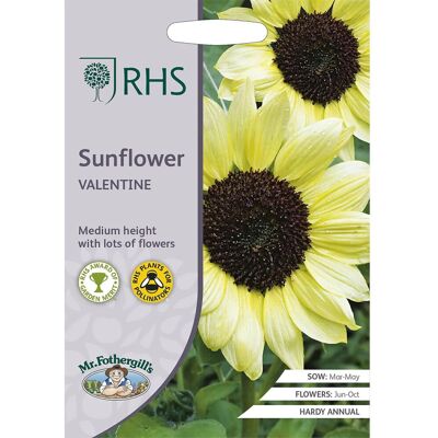Mr Fothergill's Grow Your Own Edible Flowers Sunflower Valentine Seeds Mr Fothergill's Grow Your Own Edible Flowers Sunflower Valentine Seeds