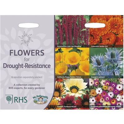 Mr Fothergill's Mr.Fothergill's RHS Grow Your Own Flowers For Drought Resistance Seeds Mr Fothergill's Mr.Fothergill's RHS Grow Your Own Flowers For Drought Resistance Seeds