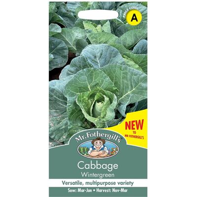 Cabbage Seeds Grow Your Garden Vegetable Wintergreen Mr Fothergill's Cabbage Seeds Grow Your Garden Vegetable Wintergreen Mr Fothergill's