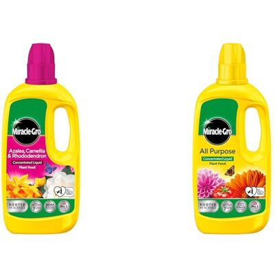 Miracle-Gro 121180 Azelia, Camellia & Rhododendron Concentrated Plant Food, 800 Miracle-Gro 121180 Azelia, Camellia & Rhododendron Concentrated Plant Food, 800