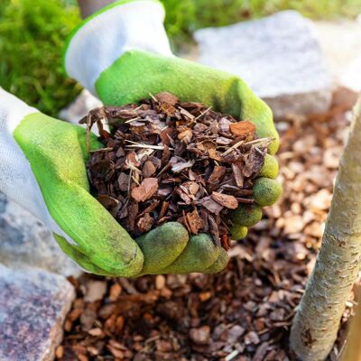YouGarden Ornamental Spruce Bark Mulch XL 70 litres - Mulches for Plants - Mulch YouGarden Ornamental Spruce Bark Mulch XL 70 litres - Mulches for Plants - Mulch
