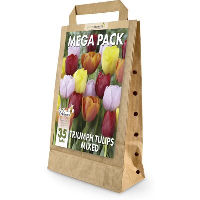 GreenBrokers Mixed Colour Tulip Bulbs Big Buy Value Pack 35 Bulbs Bee Friendly Eco-Fr GreenBrokers Mixed Colour Tulip Bulbs Big Buy Value Pack 35 Bulbs Bee Friendly Eco-Fr