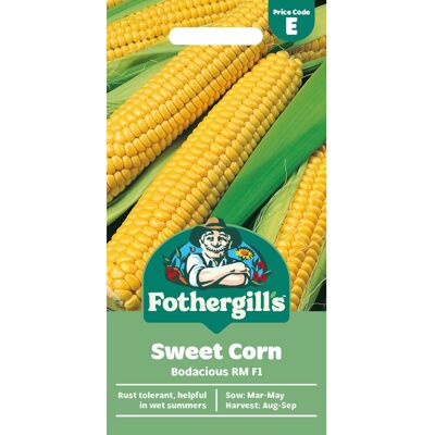 Mr Fothergill's Fothergill's Sweet Corn Bodacious RM F1, Vegetable Seeds, 25 Seeds, Sow: Mar-May Mr Fothergill's Fothergill's Sweet Corn Bodacious RM F1, Vegetable Seeds, 25 Seeds, Sow: Mar-May