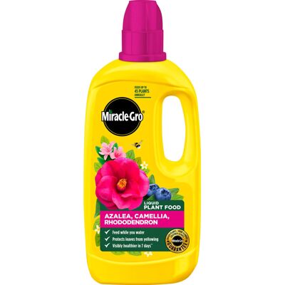 Miracle-Gro 121180 Azelia, Camellia & Rhododendron Concentrated Plant Food, 800 Miracle-Gro 121180 Azelia, Camellia & Rhododendron Concentrated Plant Food, 800