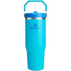 Stanley IceFlow 2.0 Flip Straw Tumbler with Handle 30 oz Twist On Lid and Flip Stanley IceFlow 2.0 Flip Straw Tumbler with Handle 30 oz Twist On Lid and Flip