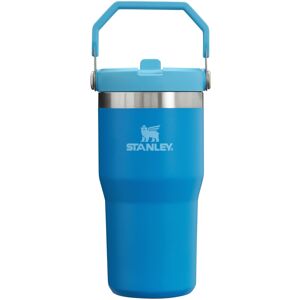 Stanley IceFlow Stainless Steel Tumbler - Vacuum Insulated Water Bottle for Home Stanley IceFlow Stainless Steel Tumbler - Vacuum Insulated Water Bottle for Home