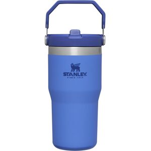 Stanley IceFlow Stainless Steel Tumbler - Vacuum Insulated Water Bottle for Home Stanley IceFlow Stainless Steel Tumbler - Vacuum Insulated Water Bottle for Home