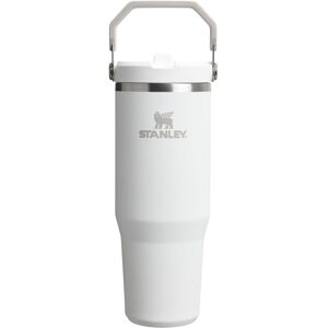 Stanley IceFlow 2.0 Flip Straw Tumbler with Handle 30 oz Twist On Lid and Flip Stanley IceFlow 2.0 Flip Straw Tumbler with Handle 30 oz Twist On Lid and Flip