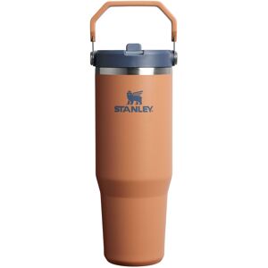 Stanley IceFlow 2.0 Flip Straw Tumbler with Handle 30 oz Twist On Lid and Flip Stanley IceFlow 2.0 Flip Straw Tumbler with Handle 30 oz Twist On Lid and Flip