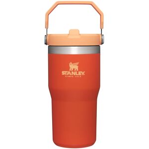 Stanley IceFlow Stainless Steel Tumbler - Vacuum Insulated Water Bottle for Home Stanley IceFlow Stainless Steel Tumbler - Vacuum Insulated Water Bottle for Home