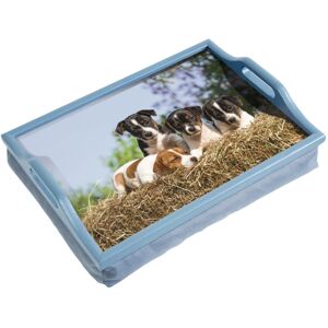Loops Laminated Wooden Lap Tray with Built in Cushion - 100 x 400 x 300mm - Dog Design Loops Laminated Wooden Lap Tray with Built in Cushion - 100 x 400 x 300mm - Dog Design