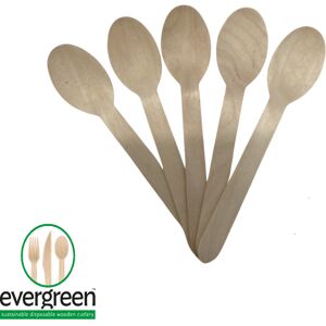 Evergreen - 100pcs Spoons - Biodegradable - Wooden - Pack of 1 - Cutlery Evergreen - 100pcs Spoons - Biodegradable - Wooden - Pack of 1 - Cutlery