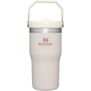Stanley IceFlow Stainless Steel Tumbler with Straw Vacuum Insulated Water Bottl Stanley IceFlow Stainless Steel Tumbler with Straw Vacuum Insulated Water Bottl