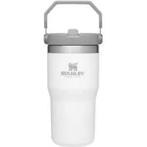 Stanley IceFlow Stainless Steel Tumbler with Straw Vacuum Insulated Water Bottl Stanley IceFlow Stainless Steel Tumbler with Straw Vacuum Insulated Water Bottl