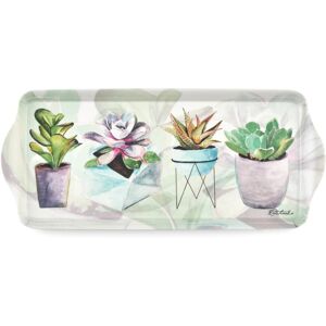 Pimpernel Succulents Collection Sandwich Tray Serving Platter Crudit? and Ap Pimpernel Succulents Collection Sandwich Tray Serving Platter Crudit? and Ap