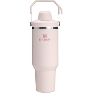 Stanley IceFlow 2.0 Fast Flow Tumbler with Handle 40 oz Twist On Angled Spout Stanley IceFlow 2.0 Fast Flow Tumbler with Handle 40 oz Twist On Angled Spout