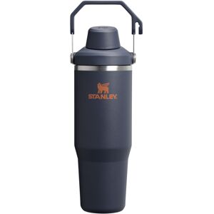 Stanley IceFlow 2.0 Fast Flow Tumbler with Handle 30 oz Twist On Angled Spout Stanley IceFlow 2.0 Fast Flow Tumbler with Handle 30 oz Twist On Angled Spout