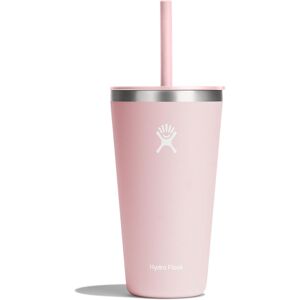 Hydro Flask 28 Oz All Around Tumbler Straw Lid Trillium Hydro Flask 28 Oz All Around Tumbler Straw Lid Trillium