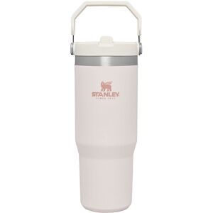Stanley IceFlow Stainless Steel Tumbler with Straw - Vacuum Insulated Water Bott Stanley IceFlow Stainless Steel Tumbler with Straw - Vacuum Insulated Water Bott