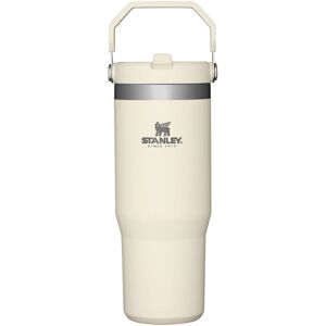 Stanley IceFlow Stainless Steel Tumbler with Straw Vacuum Insulated Water Bottl Stanley IceFlow Stainless Steel Tumbler with Straw Vacuum Insulated Water Bottl