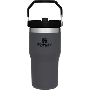 Stanley IceFlow Stainless Steel Tumbler with Straw Vacuum Insulated Water Bottl Stanley IceFlow Stainless Steel Tumbler with Straw Vacuum Insulated Water Bottl