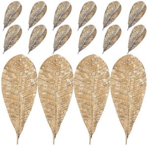 Unbranded 20 Pcs Dried Sushi Leaves, Japanese Sushi Tray Decoration, Food Dish Decoration Unbranded 20 Pcs Dried Sushi Leaves, Japanese Sushi Tray Decoration, Food Dish Decoration