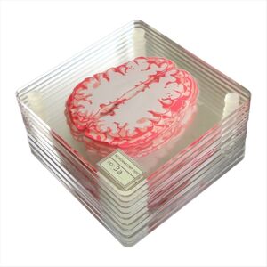 Unbranded Brain Specimen Coasters Set 3D Organ Brain Artwork Brain Slices Square Acrylic D Unbranded Brain Specimen Coasters Set 3D Organ Brain Artwork Brain Slices Square Acrylic D