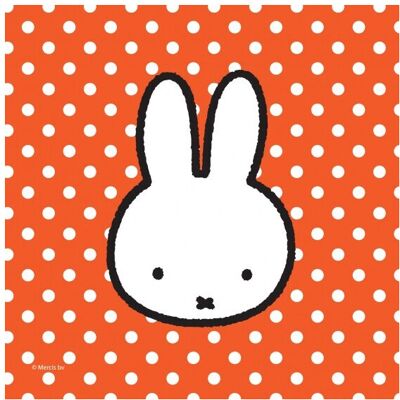 Haza Nijntje Napkins - 20 pcs, Red & White - Napkins Haza Nijntje Napkins - 20 pcs, Red & White - Napkins