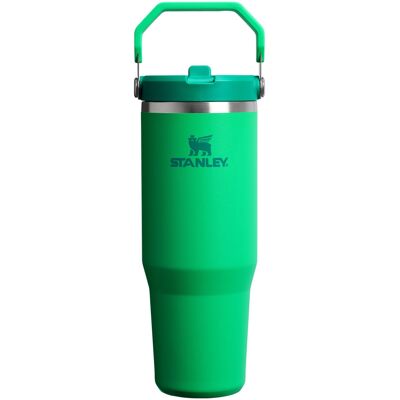Stanley IceFlow 2.0 Flip Straw Tumbler with Handle 30 oz Twist On Lid and Flip Stanley IceFlow 2.0 Flip Straw Tumbler with Handle 30 oz Twist On Lid and Flip