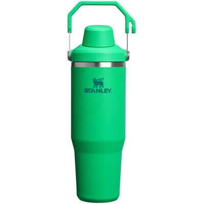 Stanley IceFlow 2.0 Fast Flow Tumbler with Handle 30 oz Twist On Angled Spout Stanley IceFlow 2.0 Fast Flow Tumbler with Handle 30 oz Twist On Angled Spout
