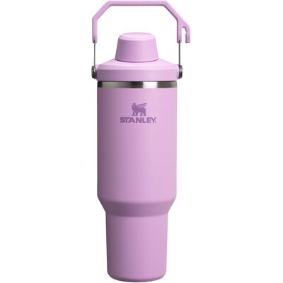 Stanley IceFlow 2.0 Fast Flow Tumbler with Handle 40 oz Twist On Angled Spout Stanley IceFlow 2.0 Fast Flow Tumbler with Handle 40 oz Twist On Angled Spout