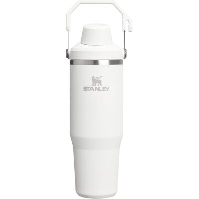 Stanley IceFlow 2.0 Fast Flow Tumbler with Handle 30 oz Twist On Angled Spout Stanley IceFlow 2.0 Fast Flow Tumbler with Handle 30 oz Twist On Angled Spout