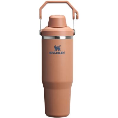 Stanley IceFlow 2.0 Fast Flow Tumbler with Handle 30 oz Twist On Angled Spout Stanley IceFlow 2.0 Fast Flow Tumbler with Handle 30 oz Twist On Angled Spout